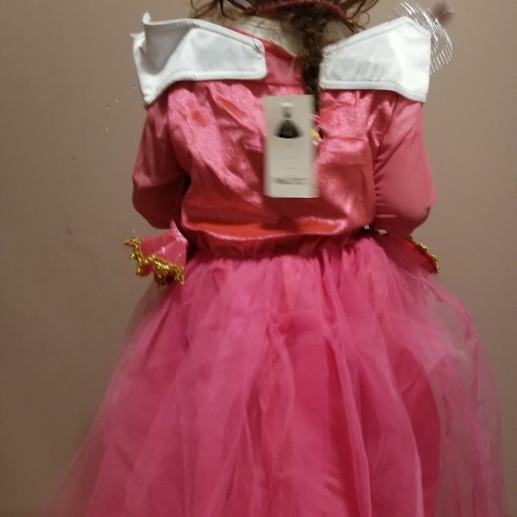 Princess Outfit - Picture 2 of 2